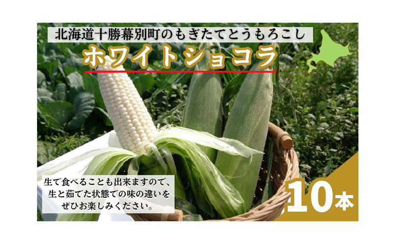 ［先行予約/2029年］もぎたてとうもろこし白10本 [北海道ホープランド農場]【 とうきび トウモロコシ とうもろこし 野菜 夏野菜 フルーツ 北海道 十勝 幕別 】 