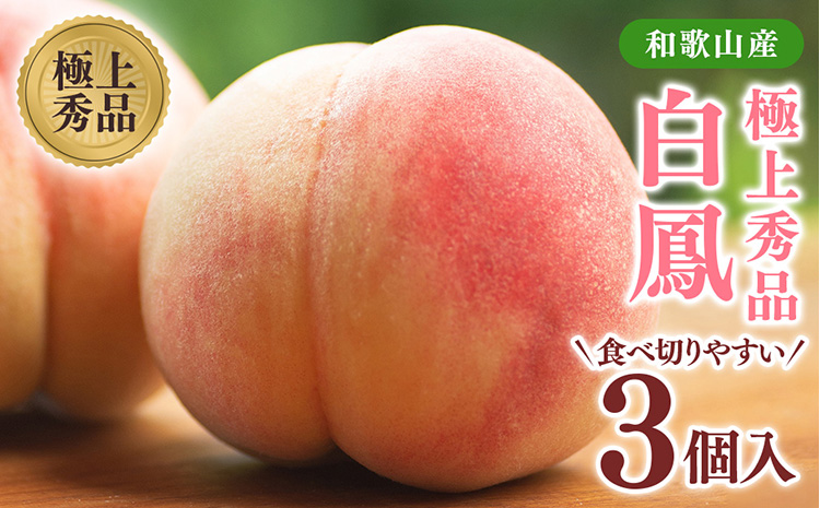 ya̎Rlzst!@̉lyPz@Gi@Hׂ₷3