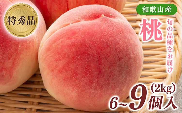 先行受付!　旬の桃　(特秀品)　約2kg　6～9個入