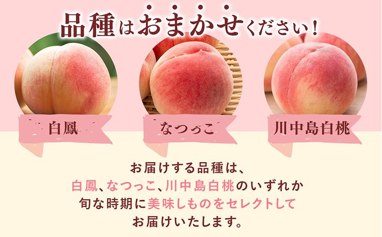 先行受付!　旬の桃　(特秀品)　約2kg　6～9個入