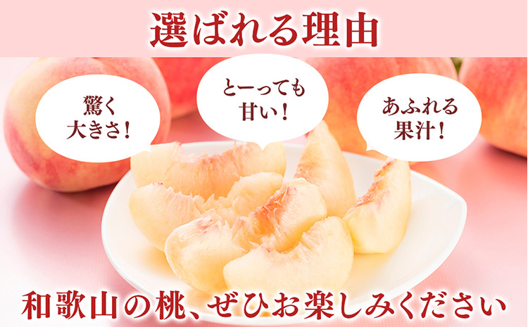 先行受付!　旬の桃　(特秀品)　約2kg　6～9個入
