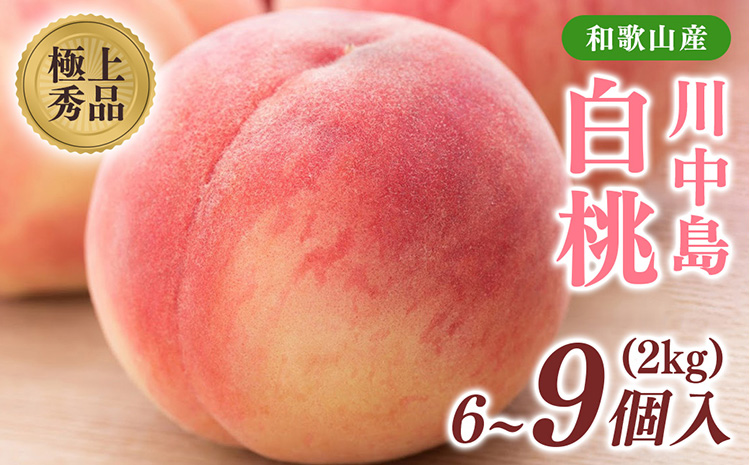 桃先行受付!　【川中島白桃】　(大玉特秀品)　約2kg　6～9個入　こだわり農家厳選!