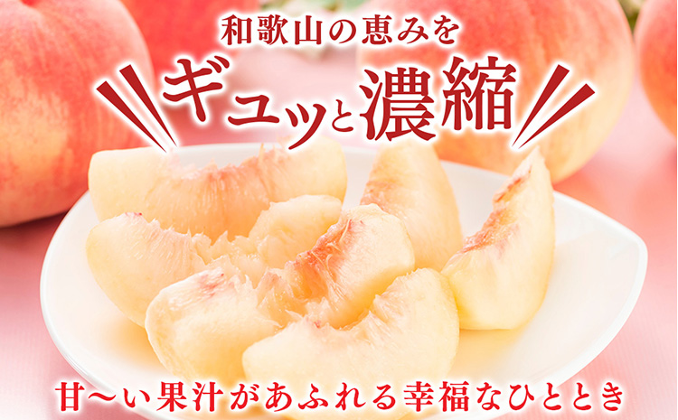 桃先行受付!　【川中島白桃】　(大玉特秀品)　約2kg　6～9個入　こだわり農家厳選!