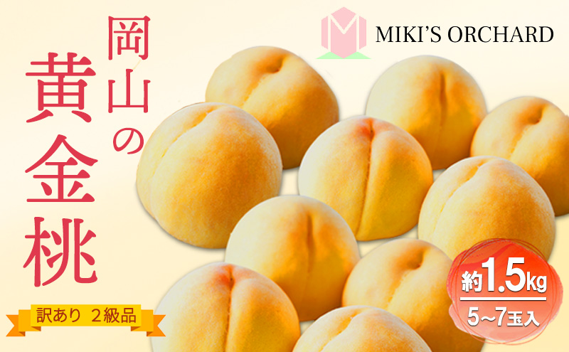 桃 【 訳あり 2級品 】 2026年 先行予約  黄金桃 約1.5kg(5～7玉入り) MIKI’S ORCHARD もも モモ 果物 フルーツ 岡山 赤磐市