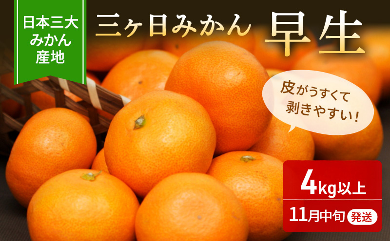 [2025年11月中旬より順次発送]三ヶ日みかん 早生 4kg以上 みかん ミカン 蜜柑 早生みかん 三ヶ日 果物 くだもの フルーツ 旬の果物 旬のフルーツ 柑橘 柑橘類 糖度 静岡 浜松市[配送不可:離島]