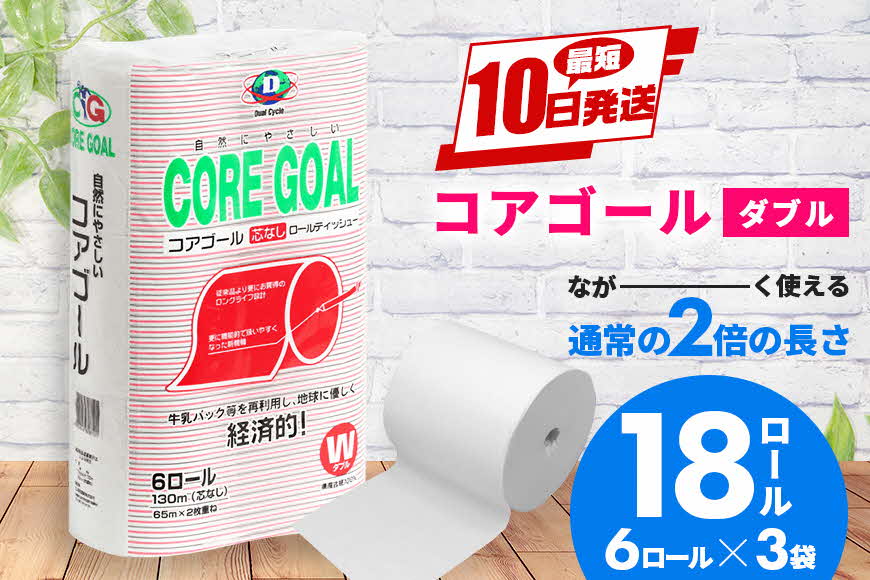 yꌧ܎szgCbgy[p[ CORE GOAL _u 65m×6[×3P