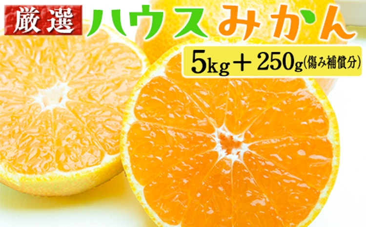 【和歌山県美浜町】厳選 ハウスみかん5kg+250g(傷み補償分)