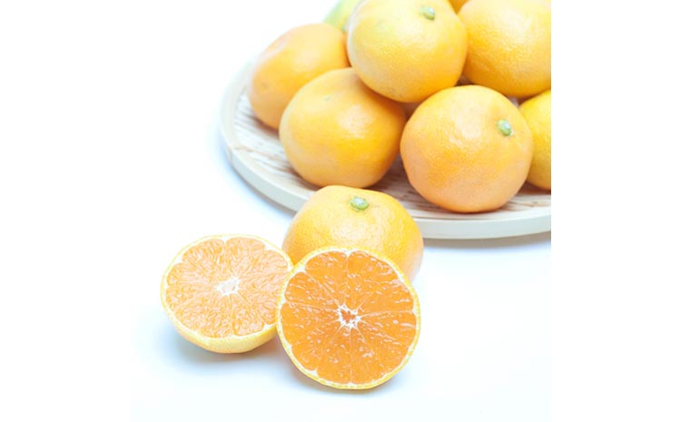 家庭用 ハウスみかん1kg+250g（傷み補償分）