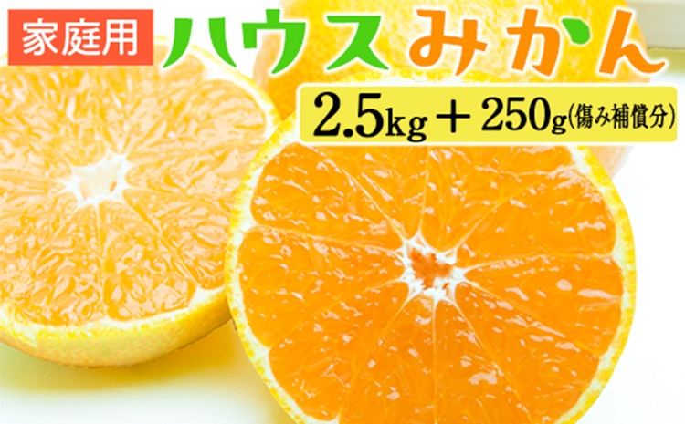 【和歌山県美浜町】家庭用 ハウスみかん2.5kg+250g(傷み補償分)