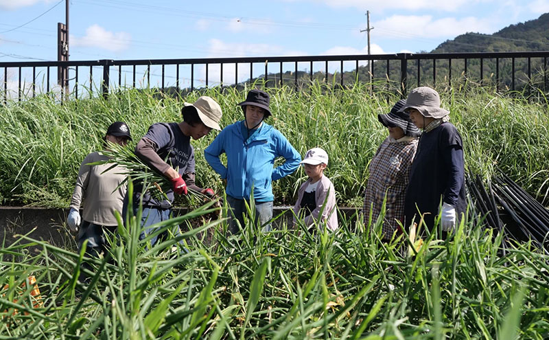 レモンシロップと佃煮セット（各2個）                                                
