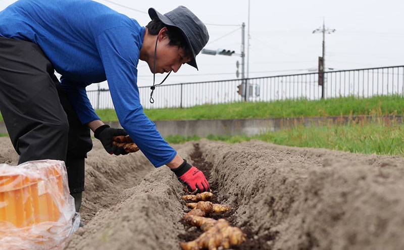 レモンシロップと佃煮セット（各2個）                                                