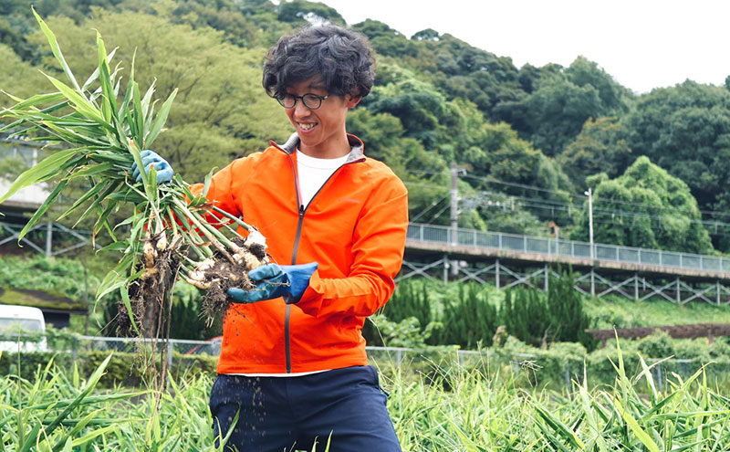 レモンシロップ 2本セット