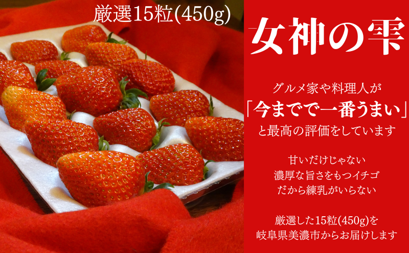 【伊勢神宮おはらい町で3時間で完売】グルメ家が「今までで1番旨い」とうなったイチゴ【女神の雫】 2026年1月 2月 3月 4月 450g 岐阜県 美濃市 じゅん農産 2 苺