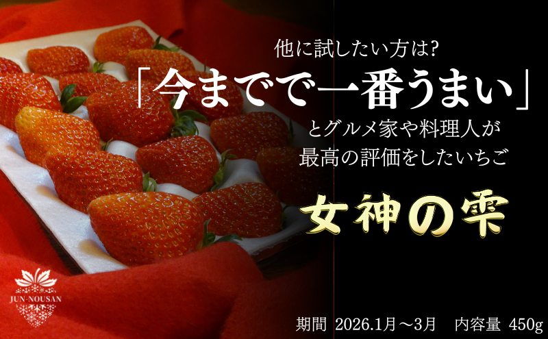 「今までで1番うまい」とうなったイチゴ【女神の雫】 2026年1月 2月 3月 4月 450g 岐阜県 美濃市 じゅん農産 1 苺