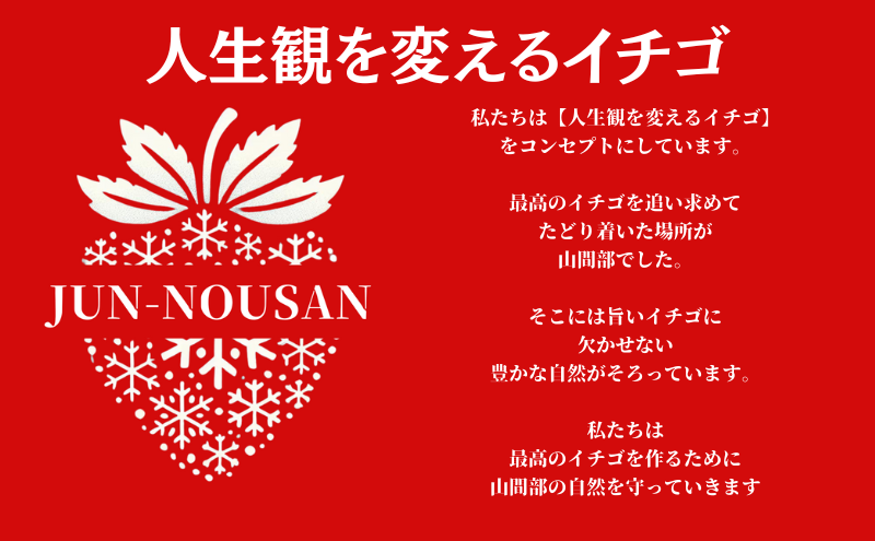 岐阜県美濃市のふるさと納税 【訳あり】「今までで1番うまい」とグルメ家がうなったイチゴ【女神の雫】 2026年1月 2月 3月 4月 450g 岐阜県 美濃市 じゅん農産 訳アリ 苺