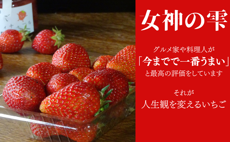 岐阜県美濃市のふるさと納税 【訳あり】「今までで1番うまい」とグルメ家がうなったイチゴ【女神の雫】 2026年1月 2月 3月 4月 450g 岐阜県 美濃市 じゅん農産 訳アリ 苺