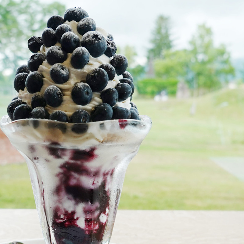 [先行受付] 北海道 仁木町産 有機栽培ブルーベリー2.1kg サイズ混合 果物 くだもの フルーツ ブルーベリー[しろうさファーム]