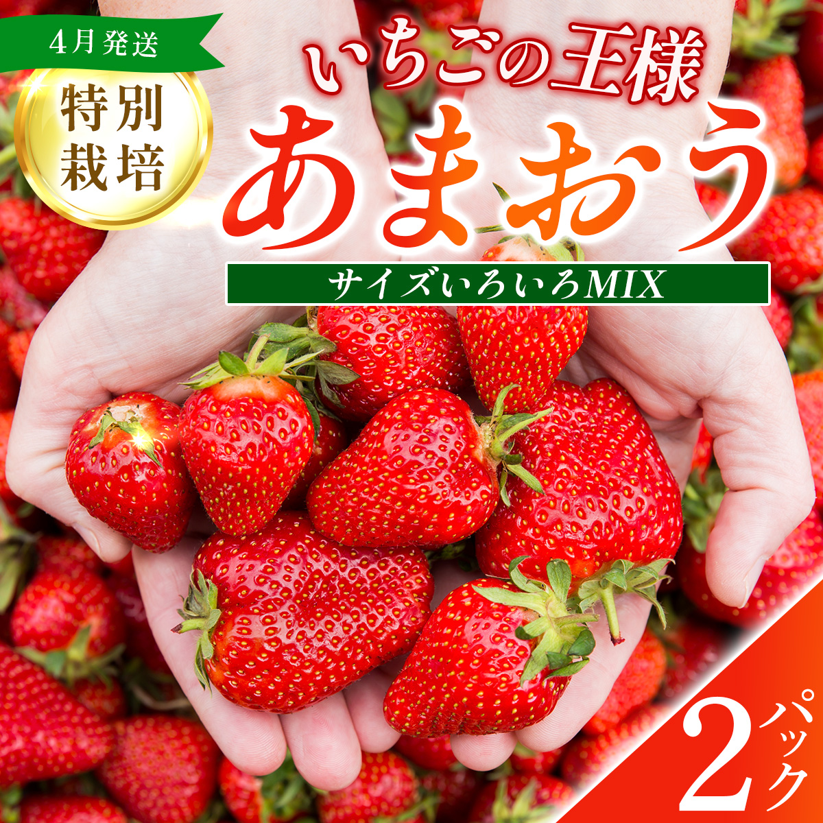 福岡県産 特別栽培 あまおう サイズいろいろMIX 約570g(約285g×2パック)[4月発送] 農園直送 アフター保証 先行予約 福岡産 送料無料 ケーキ ギフト お祝い 限定 季節限定