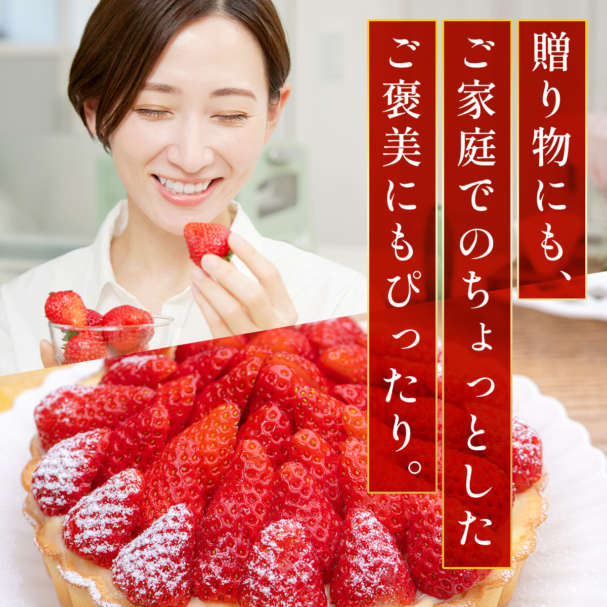 福岡県篠栗町のふるさと納税 福岡県産 特別栽培 あまおう サイズいろいろMIX 約570g（約285g×2パック）【4月発送】　農園直送 アフター保証 先行予約 福岡産 送料無料 ケーキ ギフト お祝い 限定 季節限定 UN007