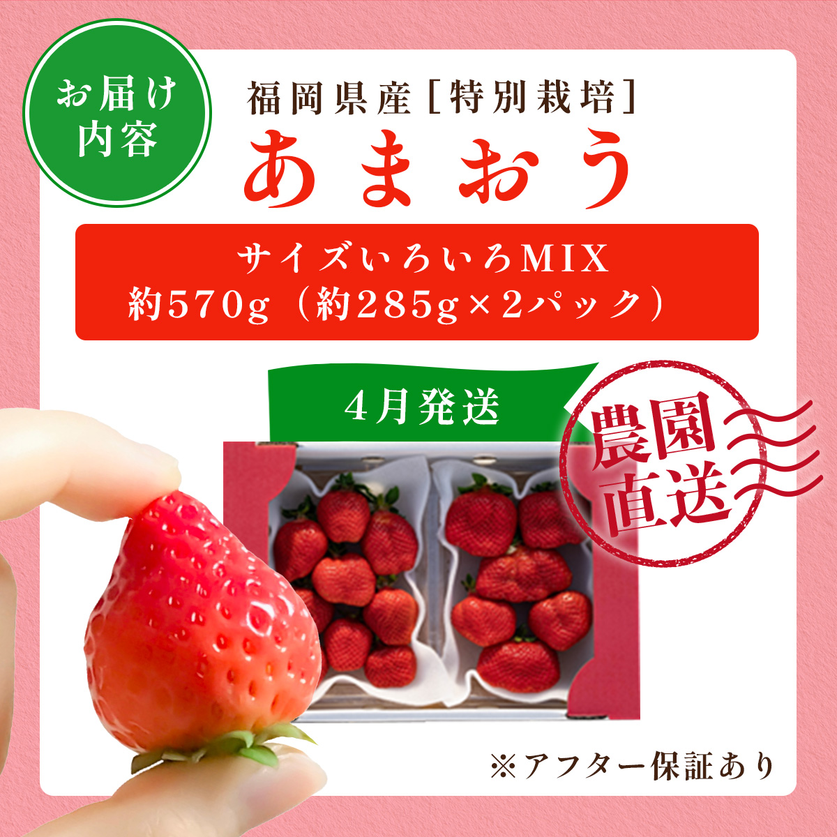 福岡県篠栗町のふるさと納税 福岡県産 特別栽培 あまおう サイズいろいろMIX 約570g（約285g×2パック）【4月発送】　農園直送 アフター保証 先行予約 福岡産 送料無料 ケーキ ギフト お祝い 限定 季節限定 UN007