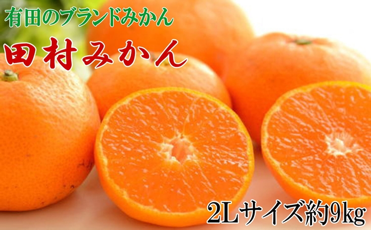 【ブランドみかん】田村みかん大玉約9kg(2Lサイズ)
