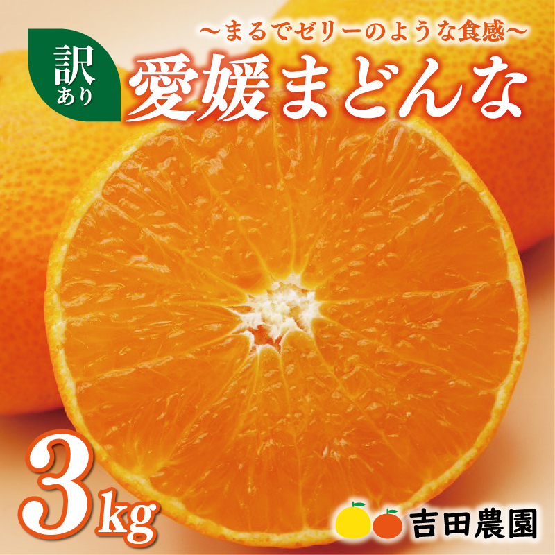 数量限定 先行予約 訳あり 愛媛 まどんな 3kg みかん 家庭用 サイズミックス 12000円 愛果28号 紅まどんな 同品種 あいか アイカ 高級 人気 ブランド 柑橘 果物 フルーツ 期間限定 産地直送 国産 農家直送 わけあり 特産品 お取り寄せ mikan 蜜柑 ミカン マドンナ スマイルカット 甘い おいしい ゼリー ぷるぷる 吉田農園 愛南町 愛媛県