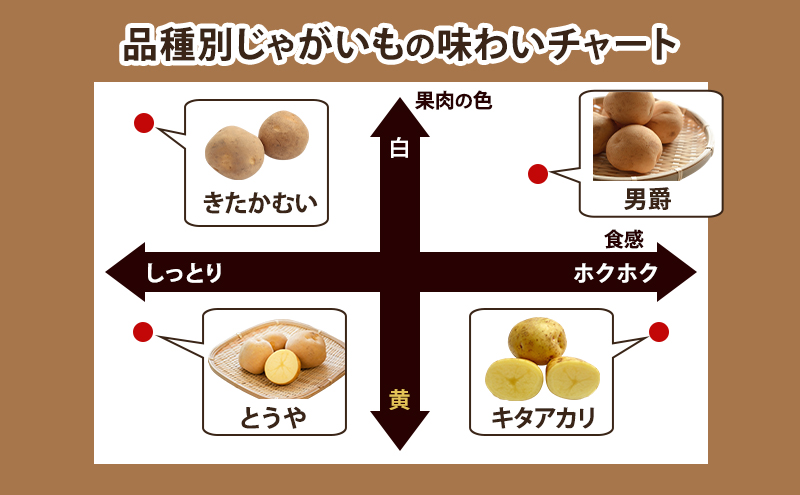 【 2026年 出荷 先行予約 】 北海道 倶知安 産 じゃがいも とうや L サイズ 10kg 馬鈴薯 いも 芋 グリーンアースファーム 農家 直送 野菜 産地直送