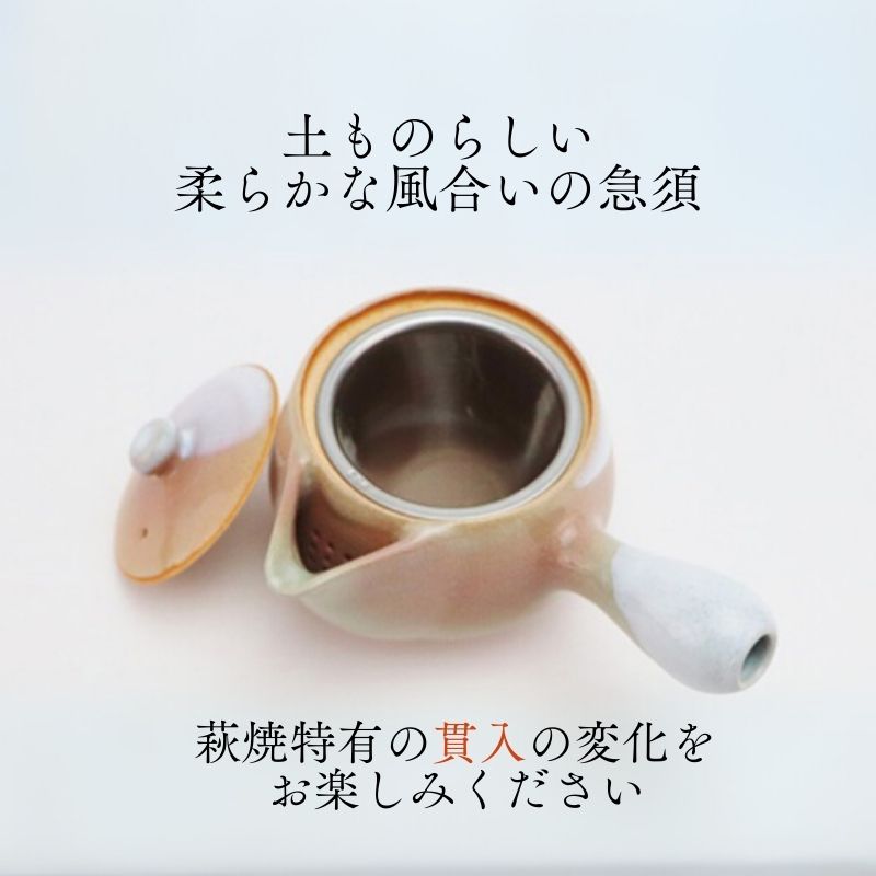 山口県萩市のふるさと納税 《萩焼》茶こし付 急須｜HG000171