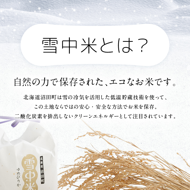 【先行予約】令和7年産  特Aランク米 ななつぼし 無洗米 10kg（5kg×2袋）【7月発送】 雪冷気 籾貯蔵 雪中米 北海道 nr-1363