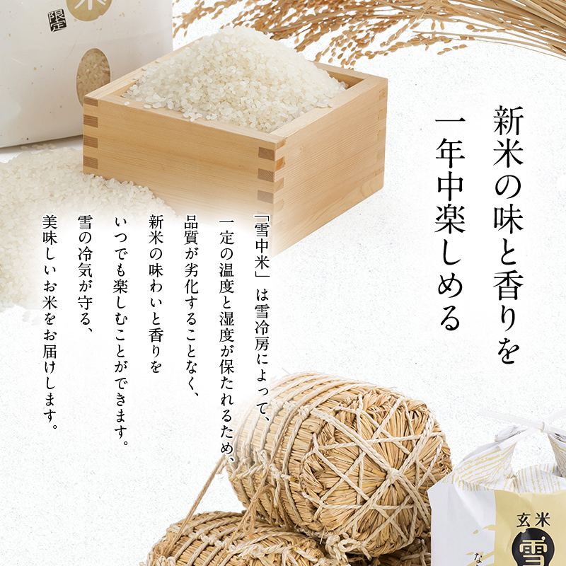 【先行予約】令和7年産  特Aランク米 ななつぼし 無洗米 10kg（5kg×2袋）【8月発送】 雪冷気 籾貯蔵 雪中米 北海道 nr-1364