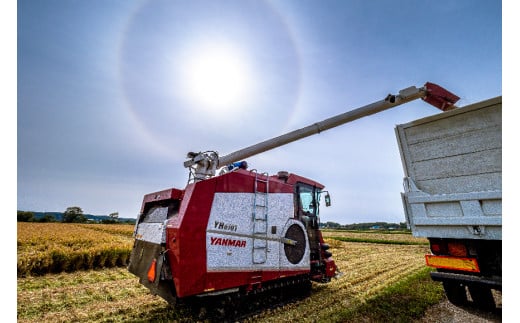 【先行予約】令和7年産 特Aランク米 ななつぼし 無洗米 20kg（5kg×4袋）【7月発送】 雪冷気 籾貯蔵 雪中米 北海道 nr-1051