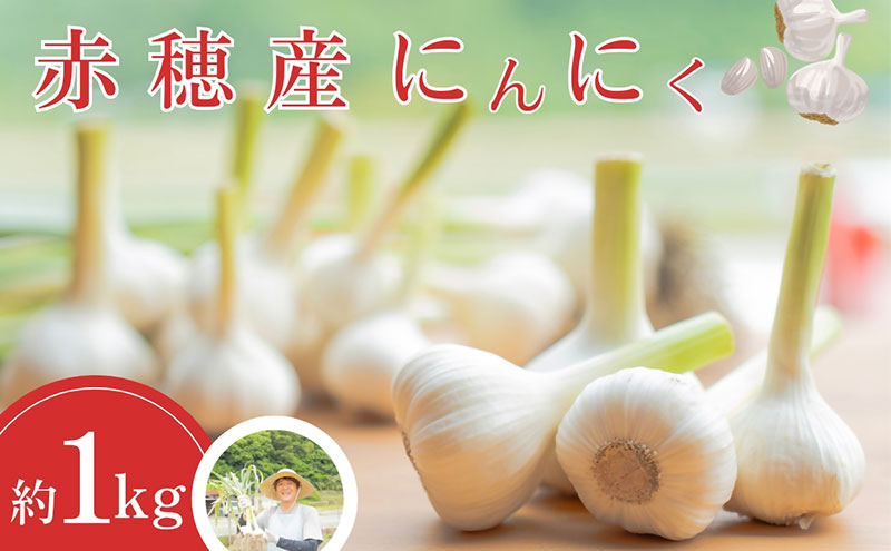 【自然農法・無農薬】新月に植えた奈良県産にんにく5kg〜【夏至限定】 自然農法・無農薬】新月に植えた奈良県産にんにく5kg〜【夏至