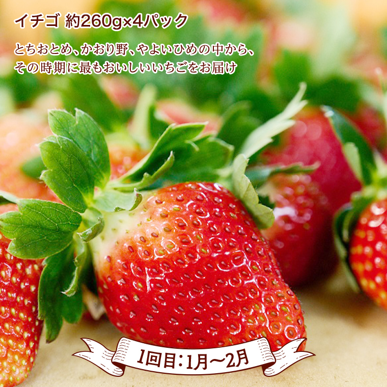 茨城県桜川市のふるさと納税 《 テレビで紹介 》【定期便】 【 2026年1月上旬から発送開始 全4回 】 数量限定 贅沢 フルーツ 満喫コース 旬の果実 旬のフルーツ くだもの 果実 トマト フルーツトマト スイカ いちご メロン 特選 厳選 アド街ック天国 アド街 グッドモーニング 黄金のワンスプーン 王様のブランチ [BC047sa]