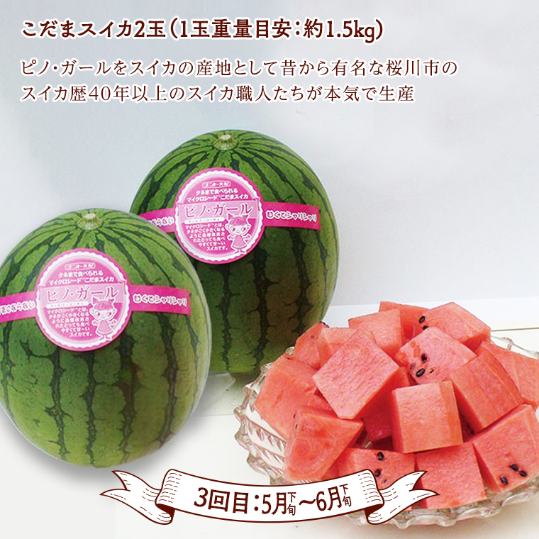 茨城県桜川市のふるさと納税 《 テレビで紹介 》【定期便】 【 2026年1月上旬から発送開始 全4回 】 数量限定 贅沢 フルーツ 満喫コース 旬の果実 旬のフルーツ くだもの 果実 トマト フルーツトマト スイカ いちご メロン 特選 厳選 アド街ック天国 アド街 グッドモーニング 黄金のワンスプーン 王様のブランチ [BC047sa]
