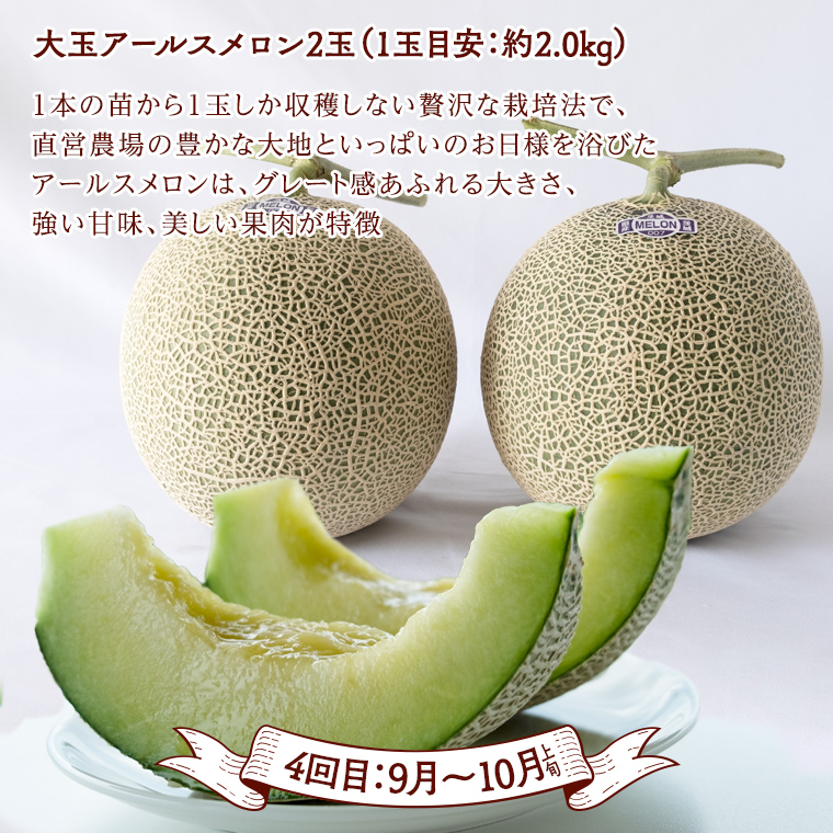茨城県桜川市のふるさと納税 《 テレビで紹介 》【定期便】 【 2026年1月上旬から発送開始 全4回 】 数量限定 贅沢 フルーツ 満喫コース 旬の果実 旬のフルーツ くだもの 果実 トマト フルーツトマト スイカ いちご メロン 特選 厳選 アド街ック天国 アド街 グッドモーニング 黄金のワンスプーン 王様のブランチ [BC047sa]