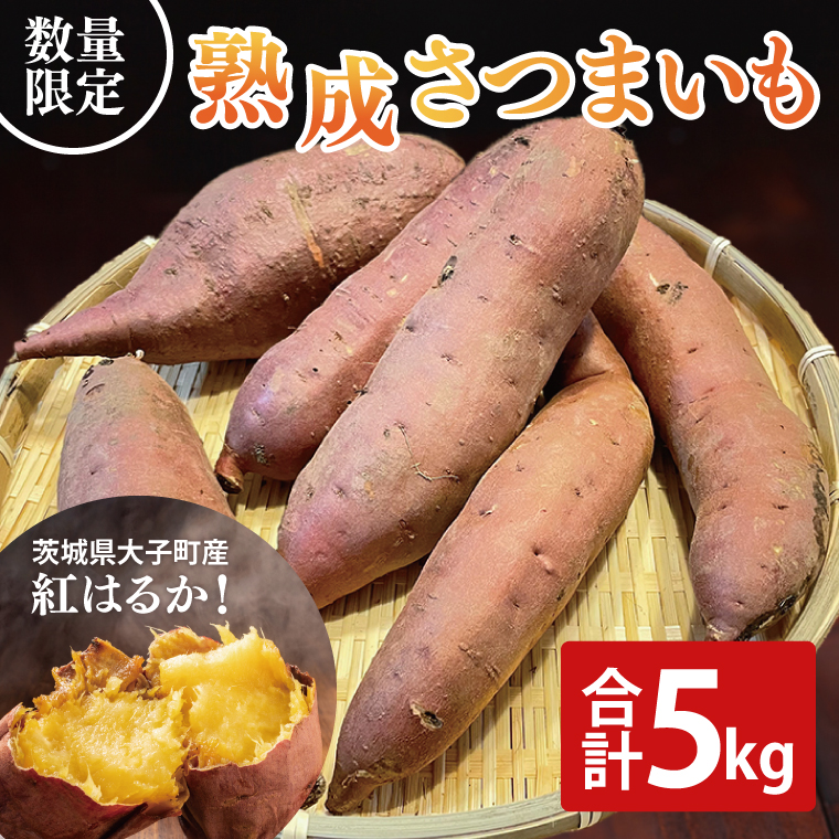 y錧qzys\zy10{菇\zn܂ g͂邩 5kgb錧 q Tc}C ׂɂ͂邩  Â zNzN  ʌ 5L {iCH001j