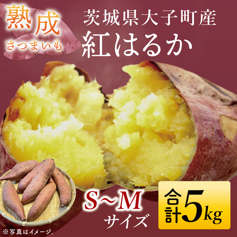 【先行予約】【10月中旬より順次発送予定】熟成さつまいも 紅はるか 5kg｜茨城県 大子町 サツマイモ べにはるか 芋 甘い ホクホク 野菜 数量限定 5キロ 旬（CH001）