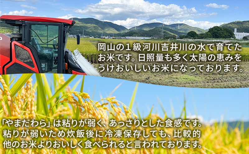 令和7年度産 新米 白米 やまだわら 10kg 米 お米 コメ おこめ 精米 岡山 瀬戸内市