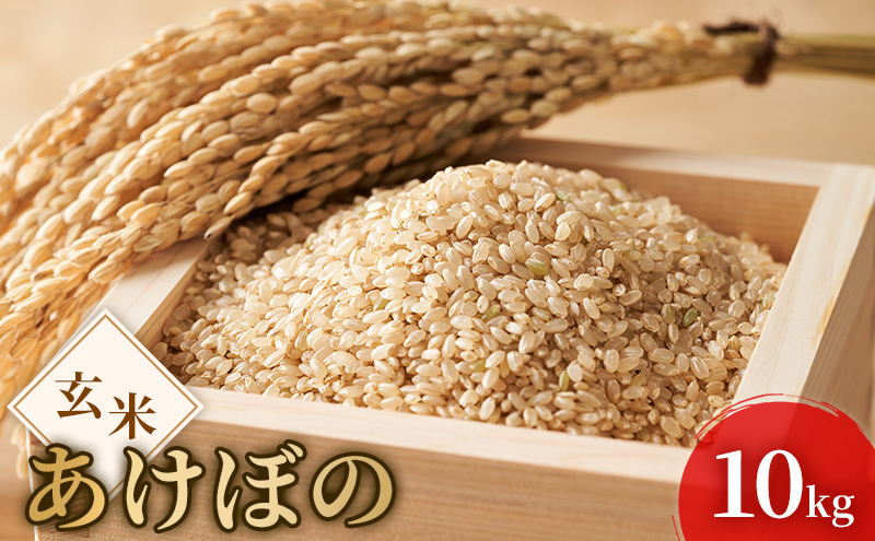 令和7年度産 新米 玄米 あけぼの 10kg 米 お米 コメ おこめ 岡山 瀬戸内市