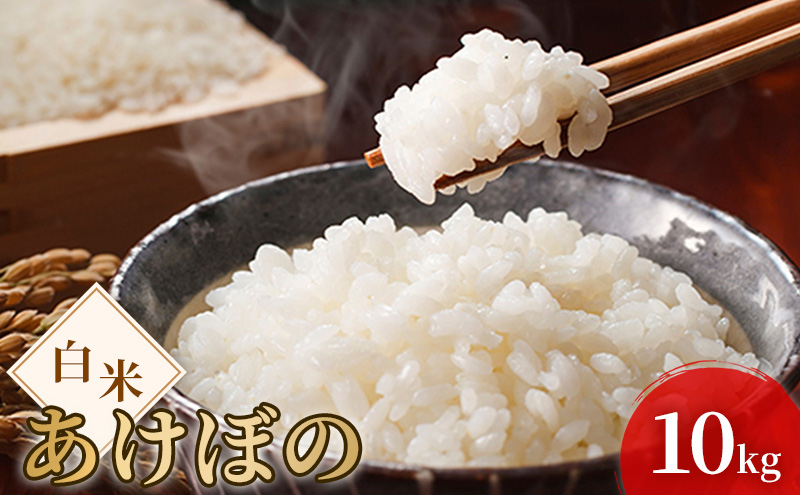 令和7年度産 新米 白米 あけぼの 10kg 米 お米 コメ おこめ 精米 岡山 瀬戸内市