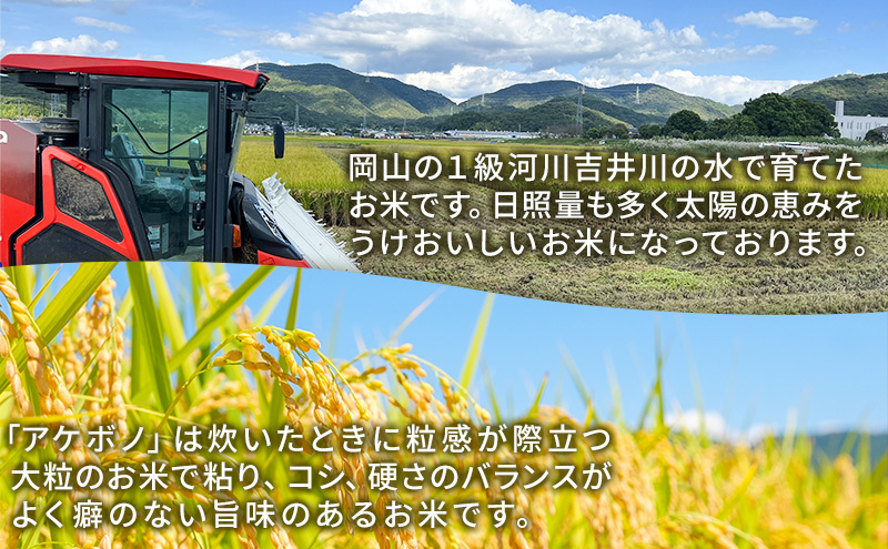 令和7年度産 新米 白米 あけぼの 10kg 米 お米 コメ おこめ 精米 岡山 瀬戸内市