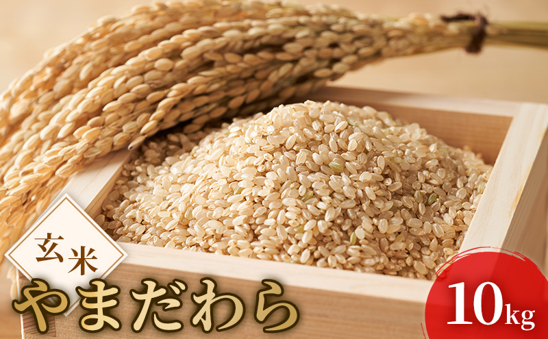 令和7年度産 新米 玄米 やまだわら 10kg 米 お米 コメ おこめ 岡山 瀬戸内市