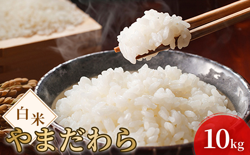 令和7年度産 新米 白米 やまだわら 10kg 米 お米 コメ おこめ 精米 岡山 瀬戸内市