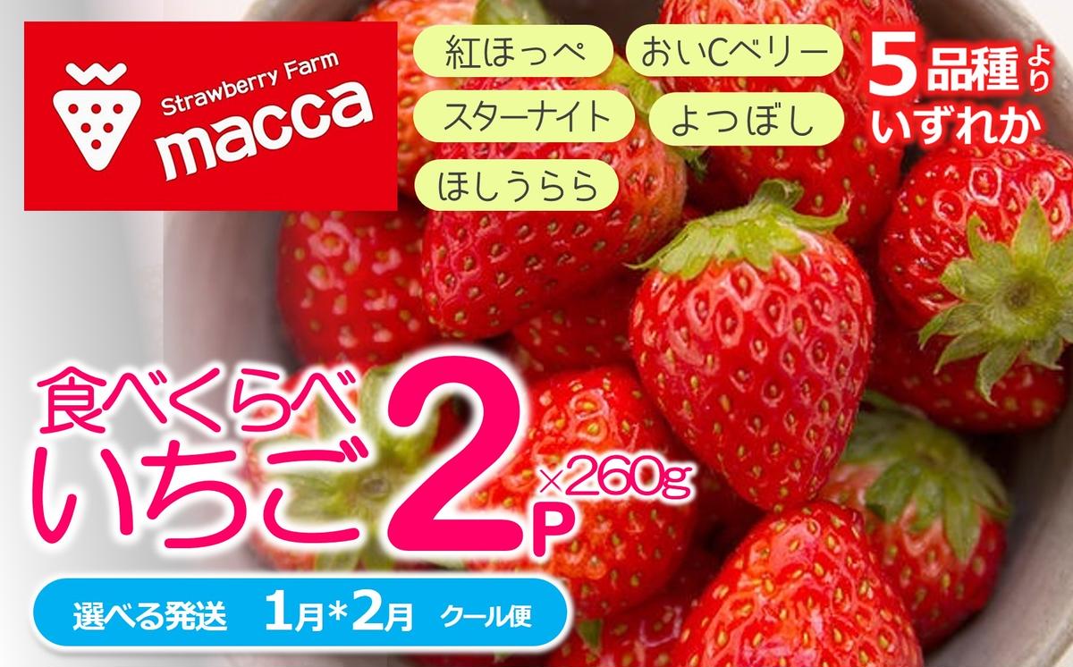 「ひょうご推奨ブランド」認証「西脇市産いちご3種セット」(1箱4パック)〜いちご畑macca〜(11-47)