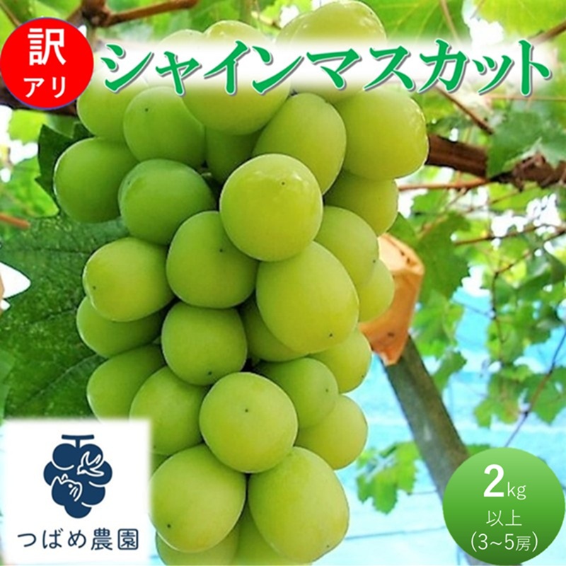 yRsz2026N t Ԃǂ 󂠂 VC}XJbg 2kgȏ(3`5[) ʌ R sY
