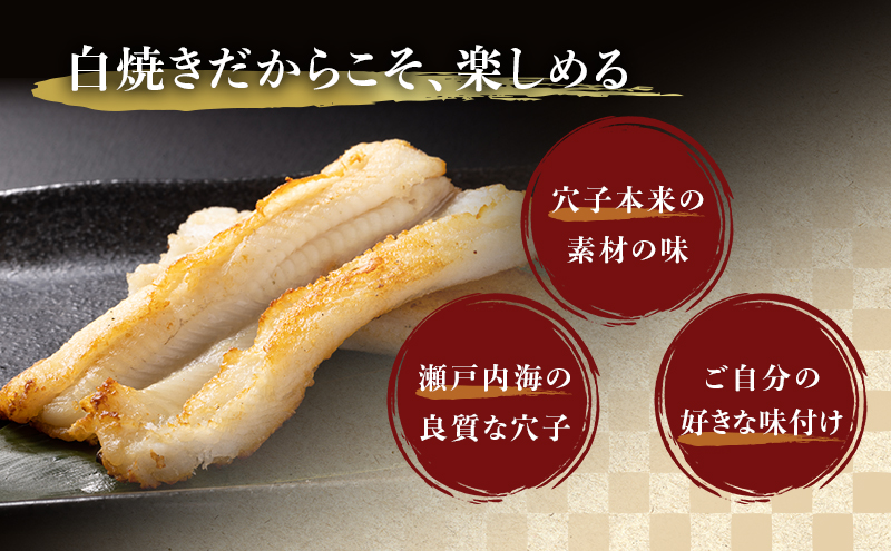 あなご 先行予約 山銀商店 白焼き あなご (合計約300g) 産地直送 穴子 魚介類 アナゴ 