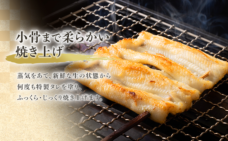 あなご 先行予約 山銀商店 白焼き あなご (合計約300g) 産地直送 穴子 魚介類 アナゴ 