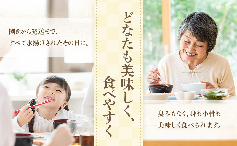 あなご 先行予約 山銀商店 白焼き あなご (合計約300g) 産地直送 穴子 魚介類 アナゴ 