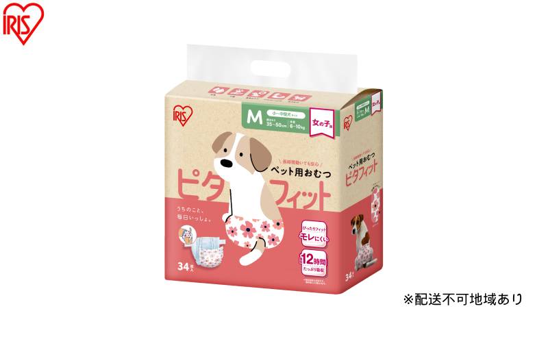 y{錧͌zy34×6܁zybgpނ s^tBbg M 34 ̎qp NPD-M34 ybg ̎q ނ Ic ybgIc  ^ Le[v m点C 킢