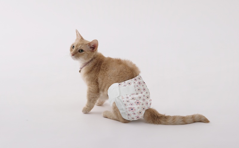 【42枚入り×6袋】ペット用おむつ ピタフィット XXS 42枚入 女の子用 NPD-XXS42 ペット 女の子 おむつ オムツ ペットオムツ 長時間 薄型 幅広テープ お知らせライン かわいい